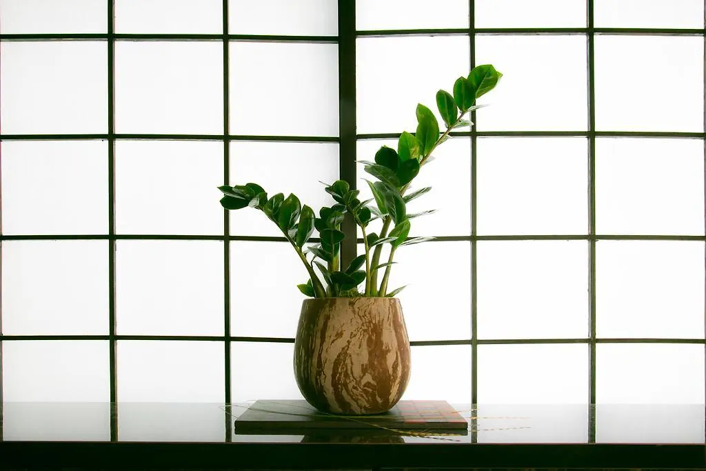 Hosta Nijo Aoi Villa Kyoto Holiday home